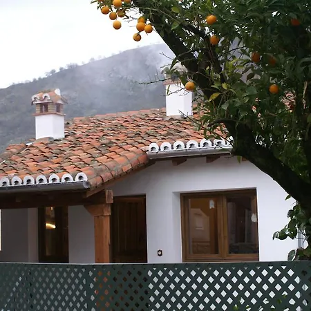 El Naranjo